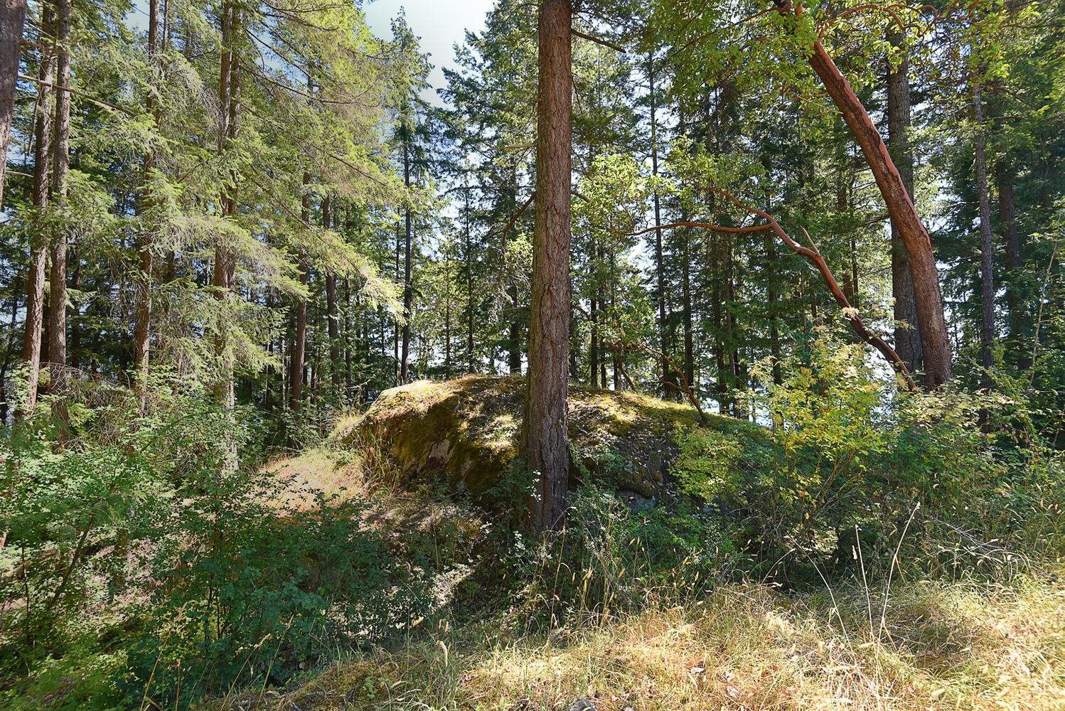 Listing Image 35