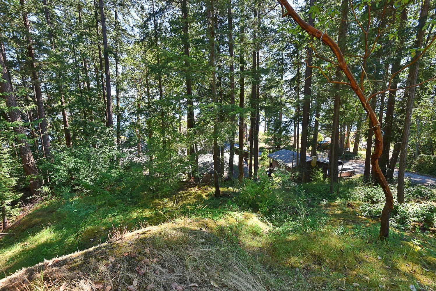 Listing Image 36
