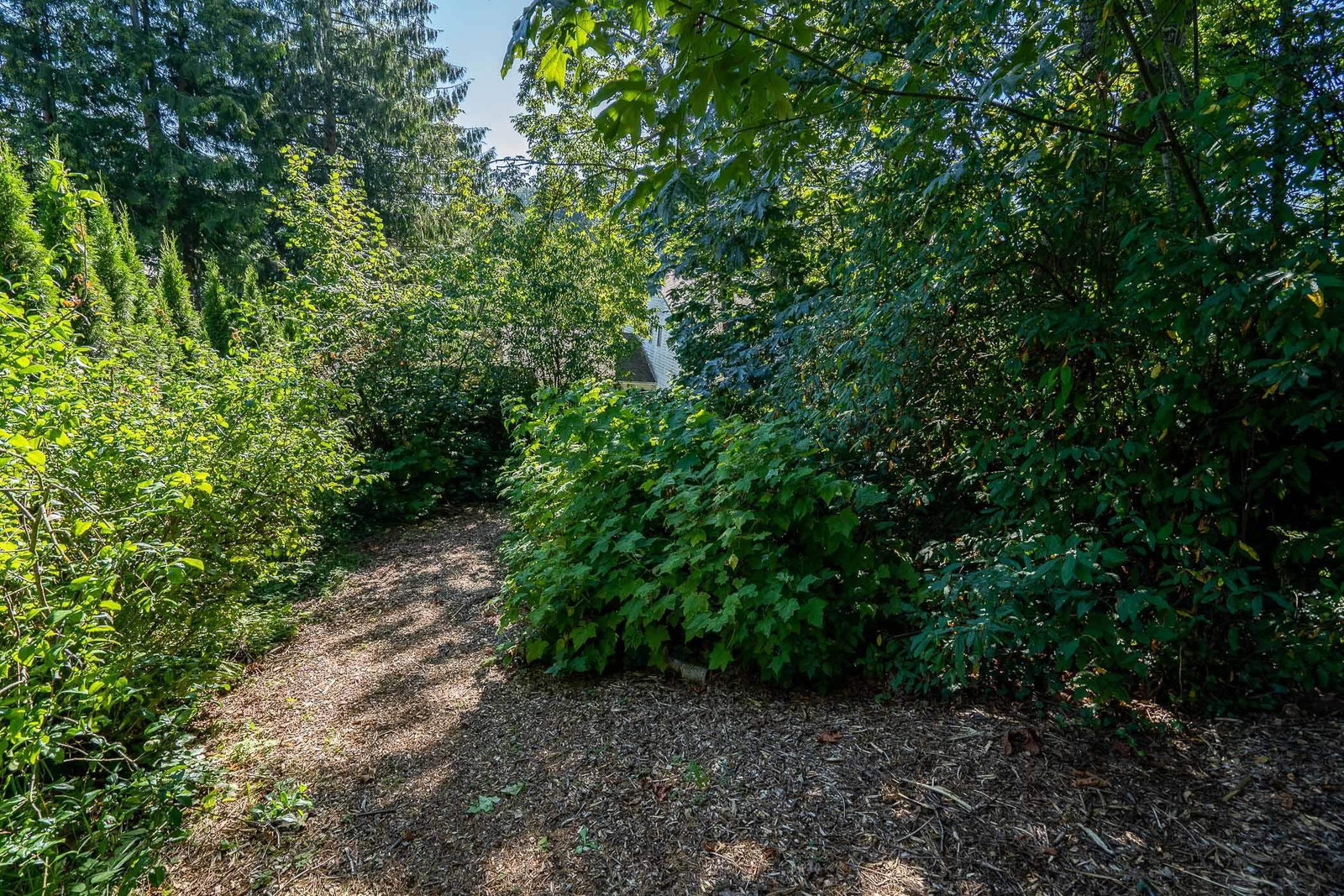 Listing Image 36
