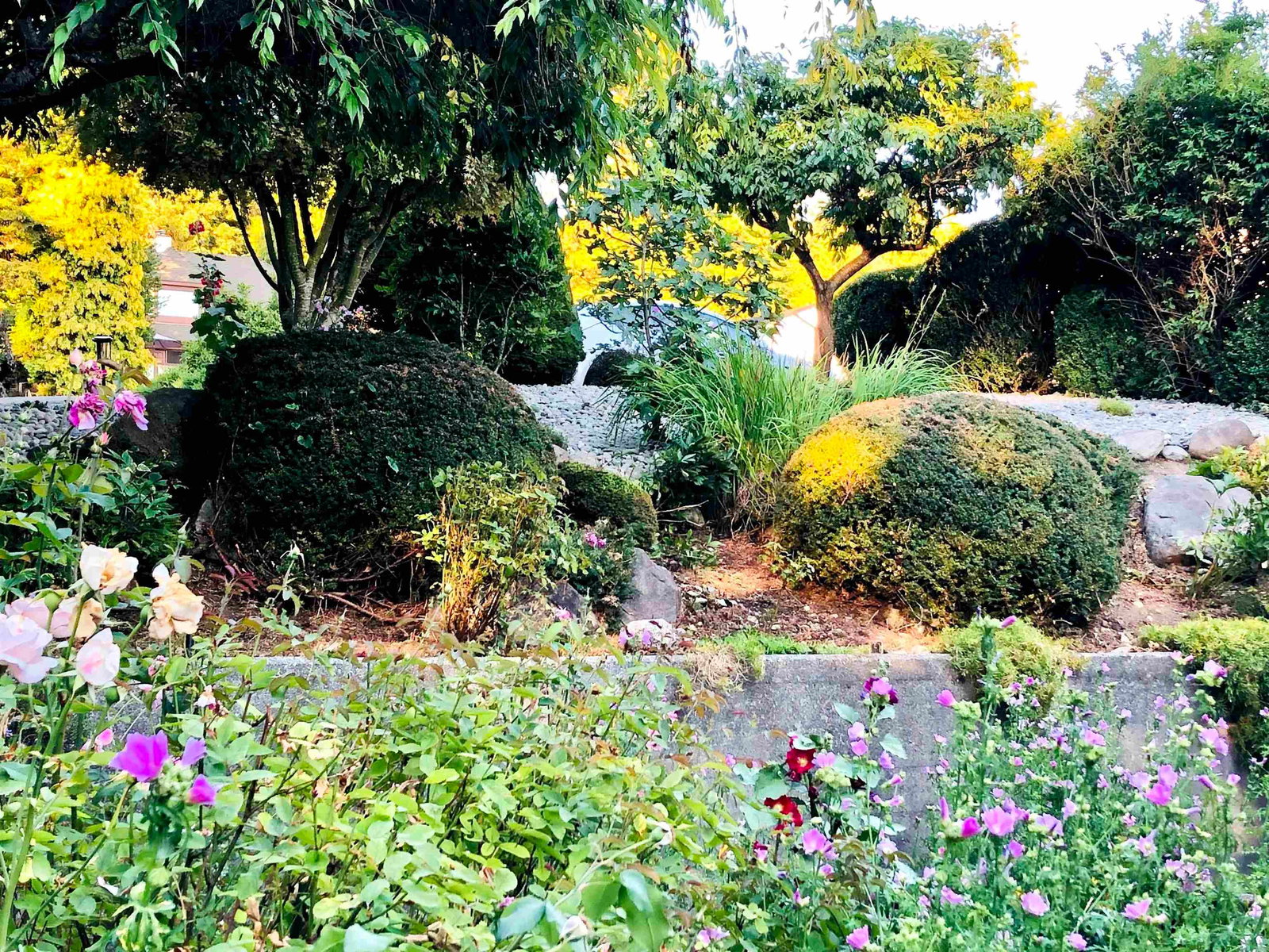 Listing Image 32