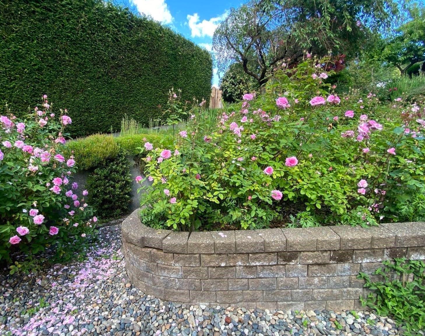 Listing Image 34
