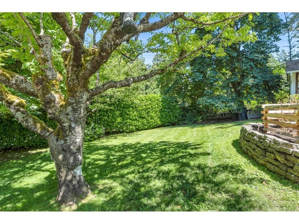 Listing Image 30