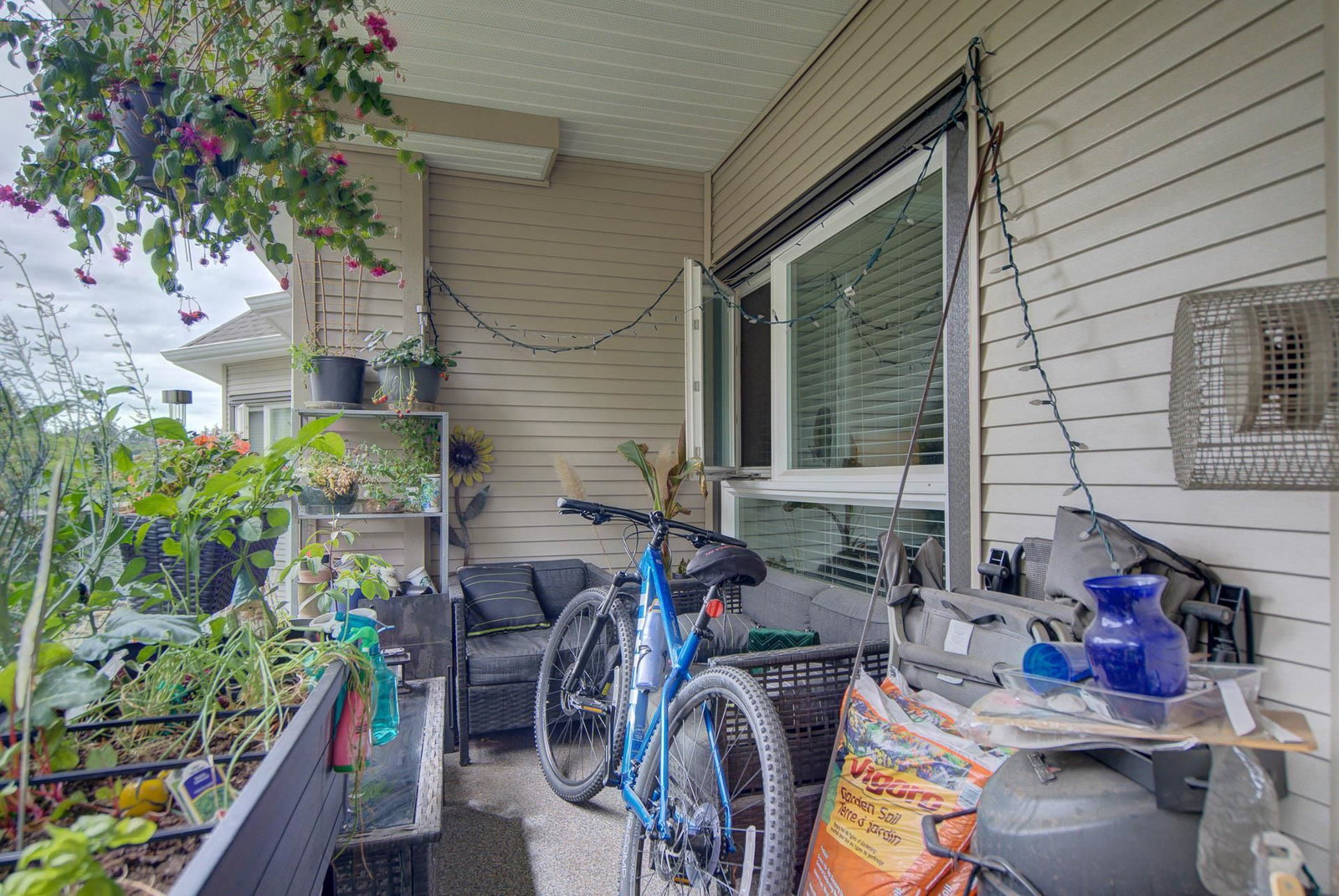 Listing Image 18