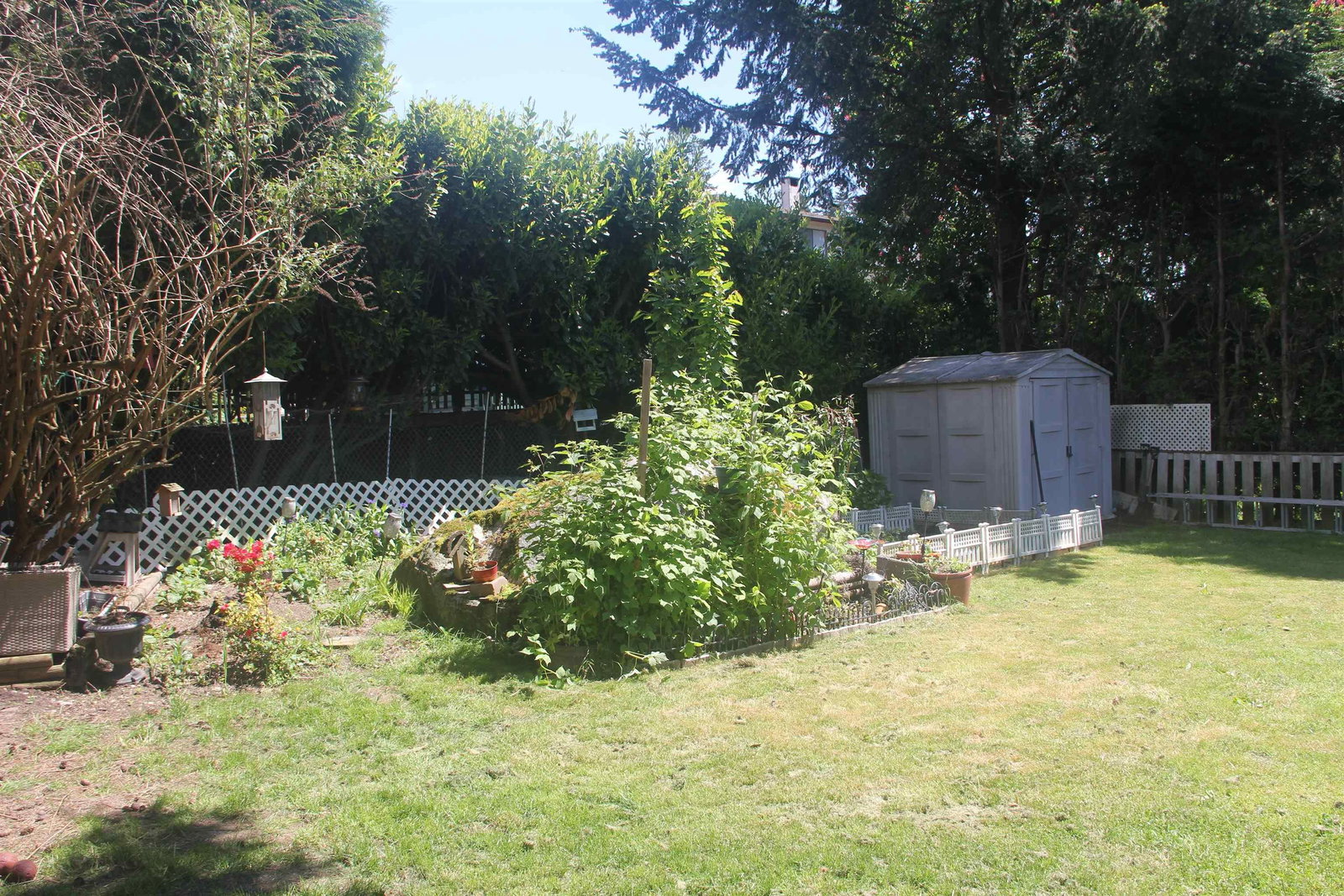 Listing Image 22