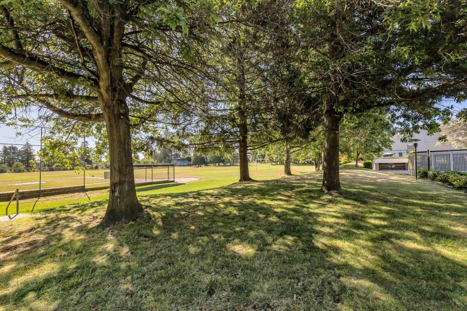 Listing Image 39