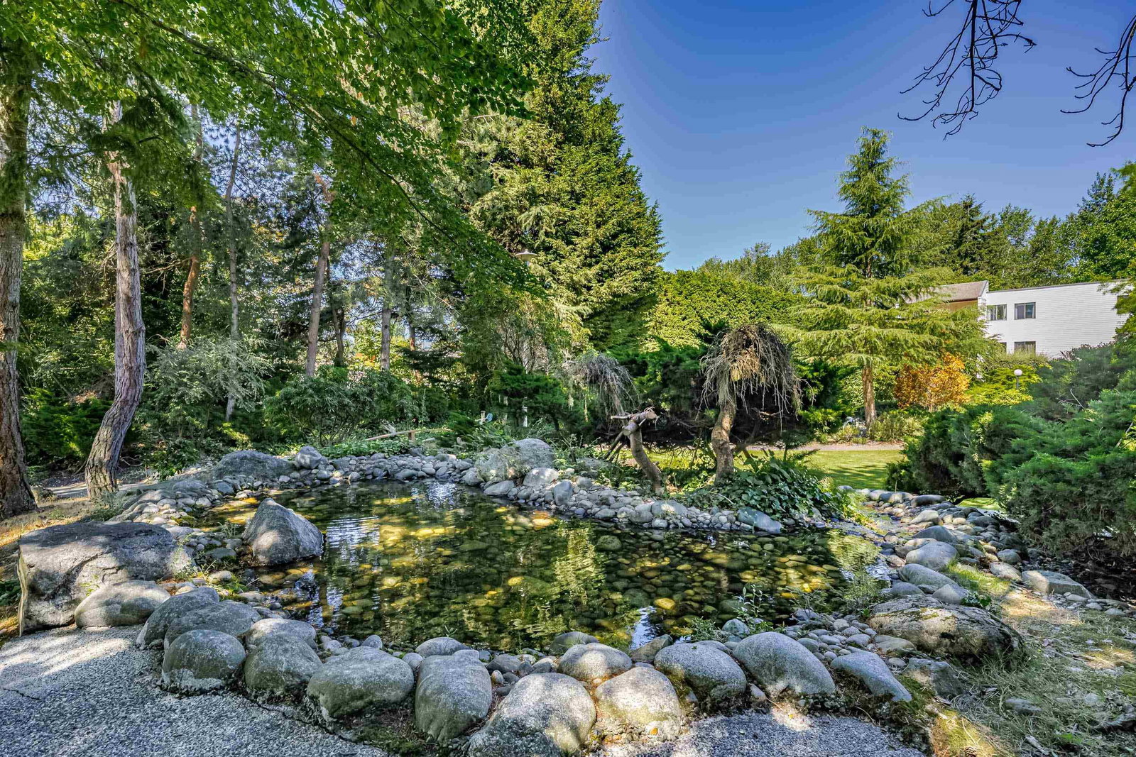 Listing Image 37
