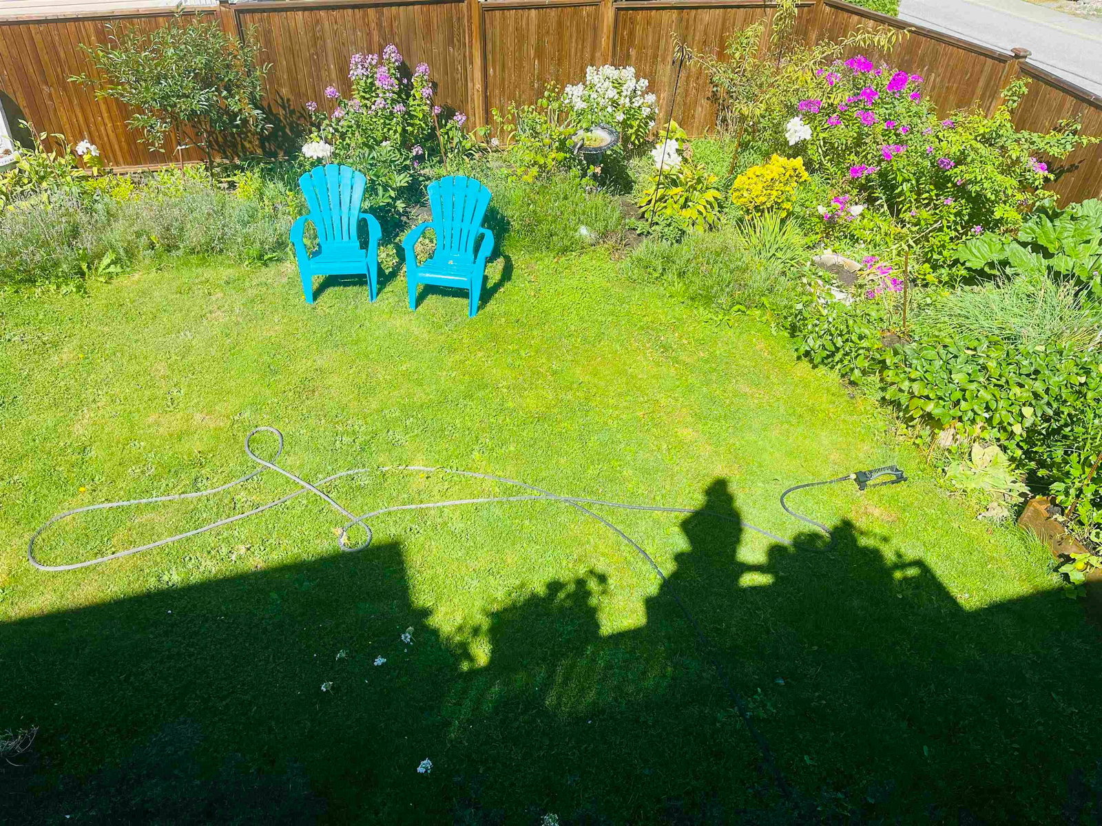 Listing Image 18