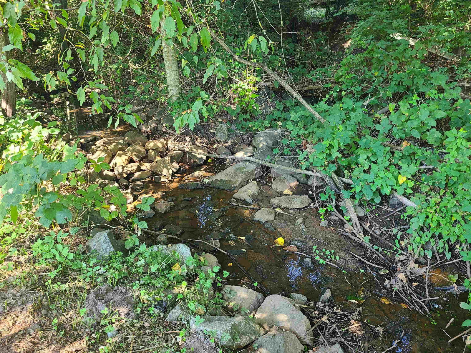 Listing Image 37