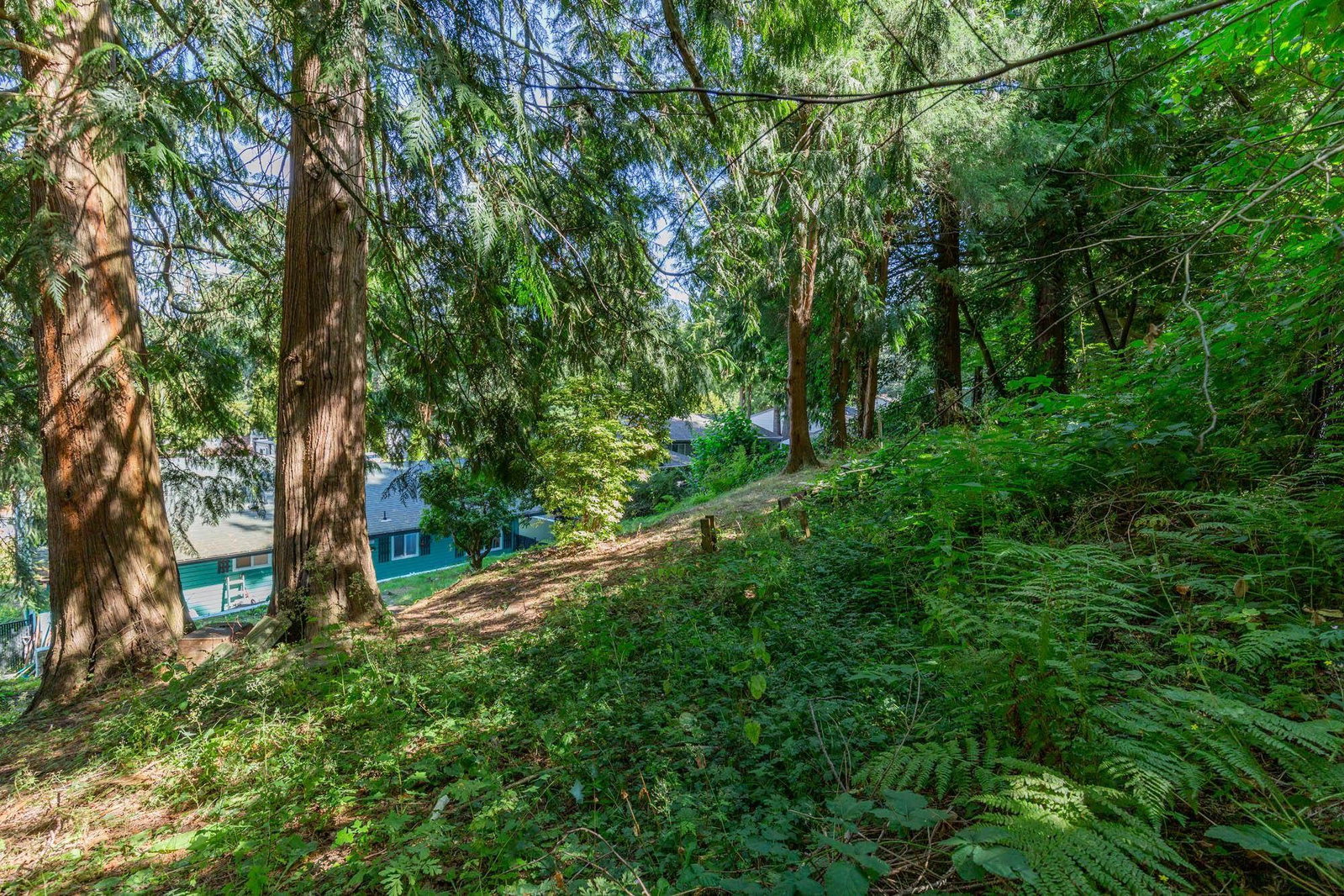 Listing Image 35