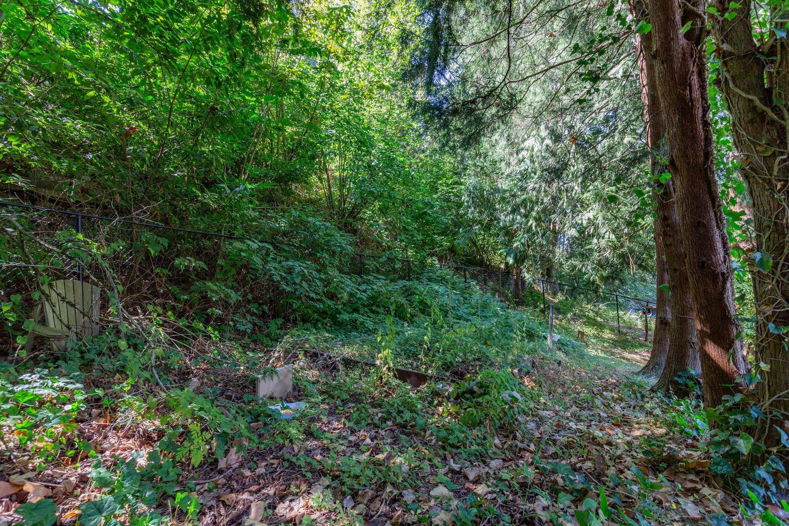 Listing Image 37