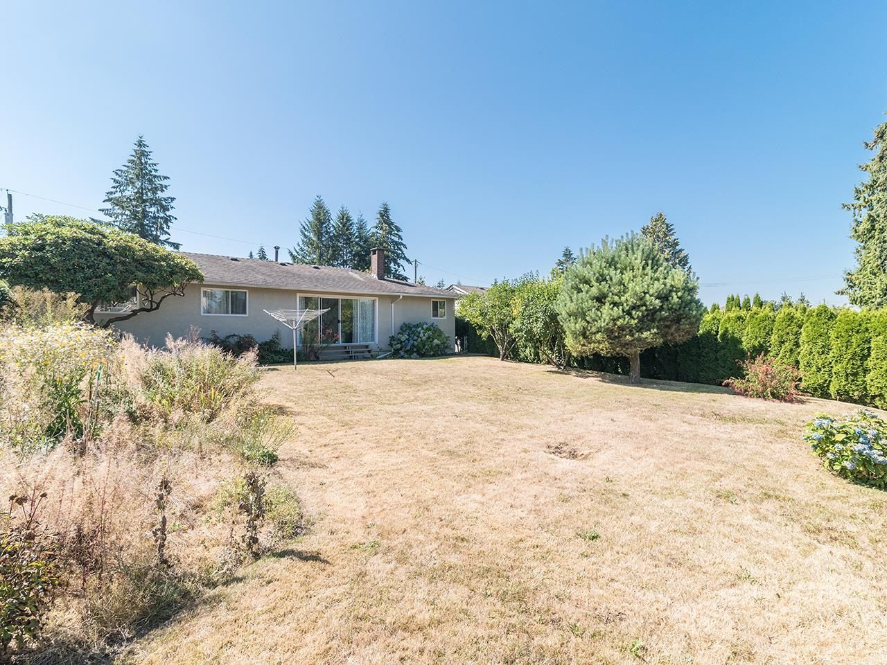 Listing Image 8