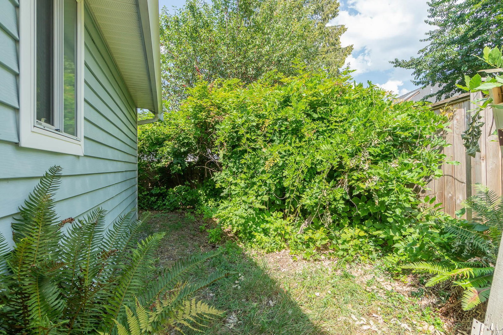Listing Image 32