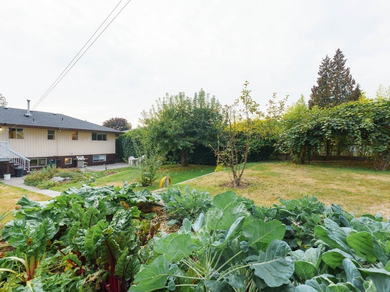 Listing Image 35