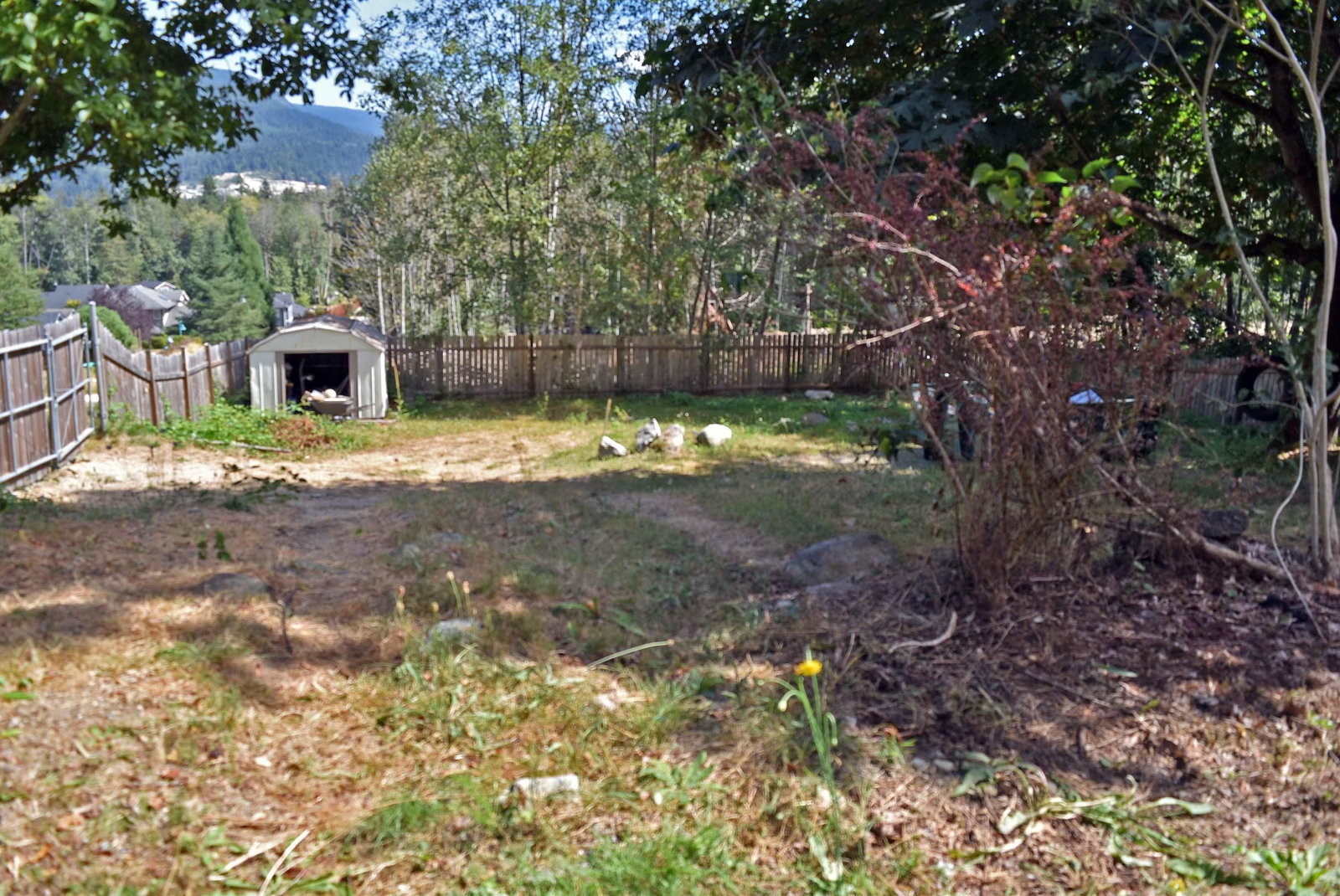 Listing Image 25