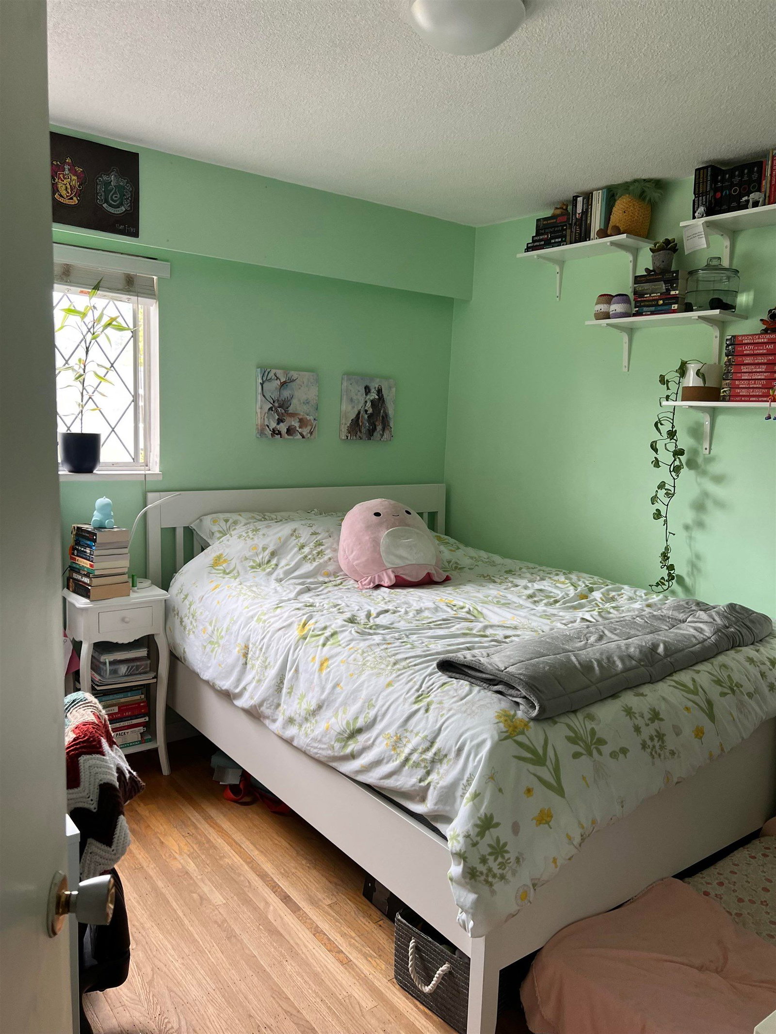 Listing Image 9