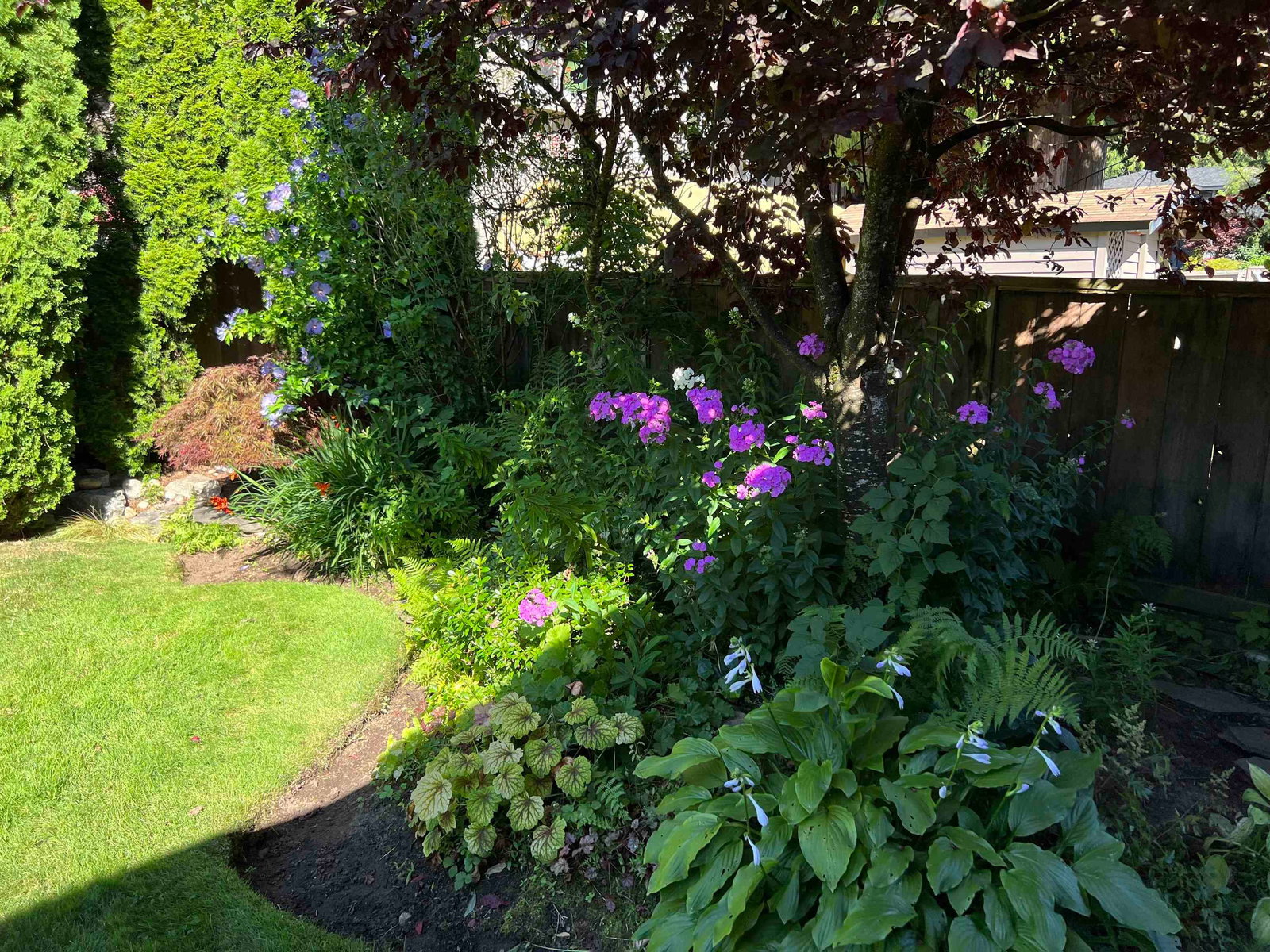 Listing Image 27