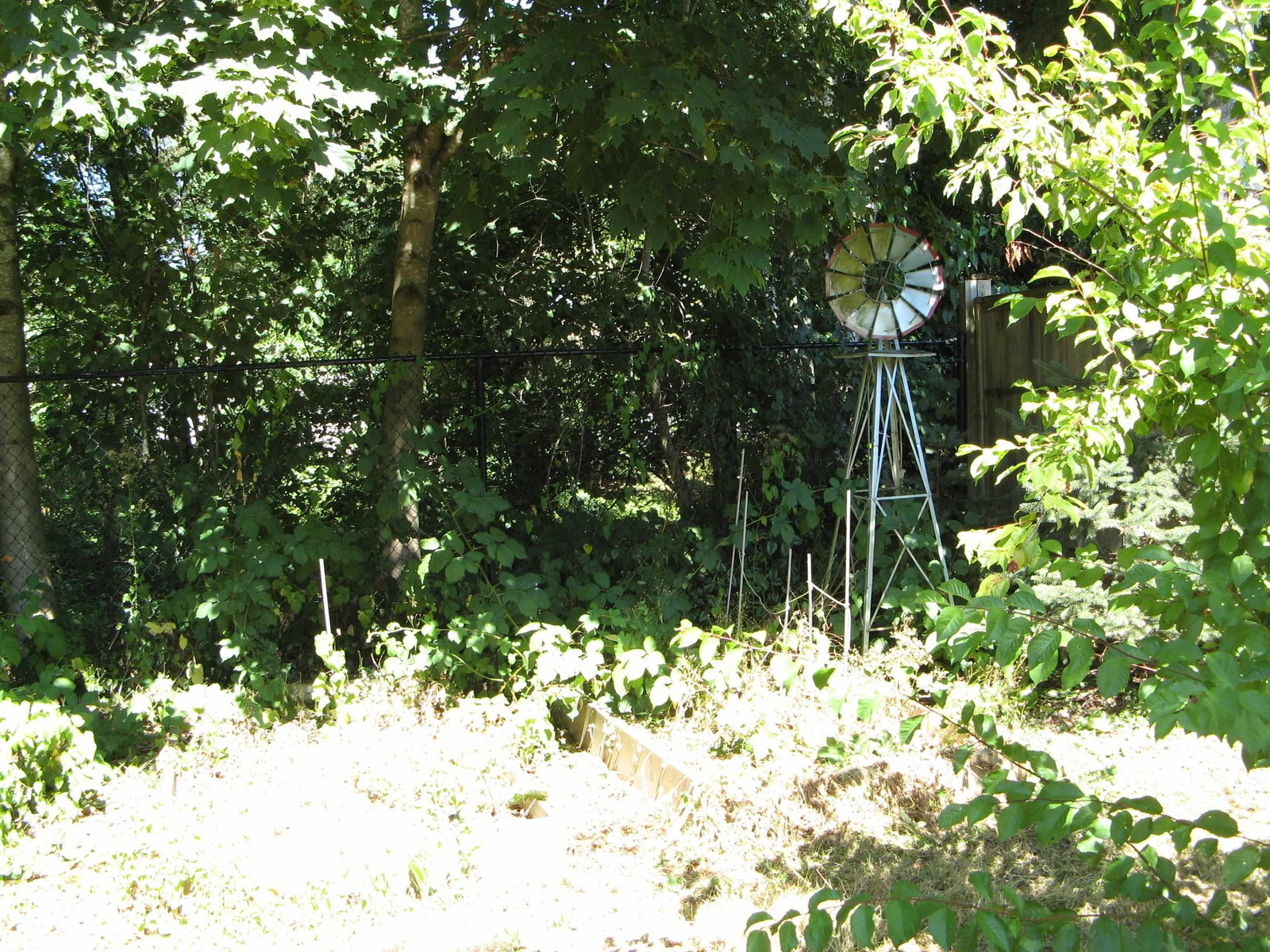 Listing Image 34