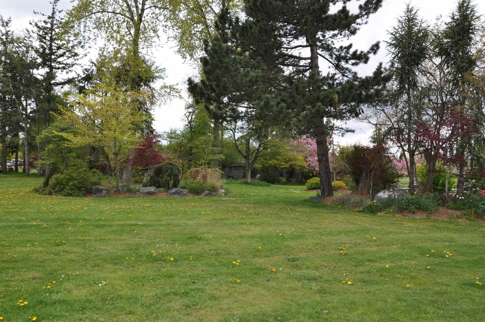 Listing Image 40