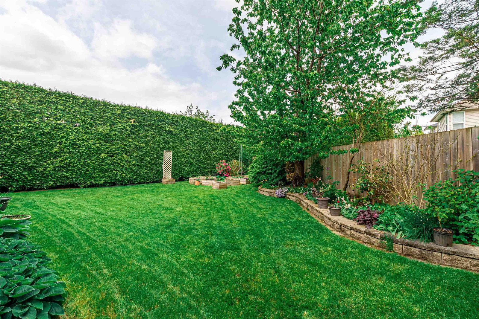 Listing Image 31