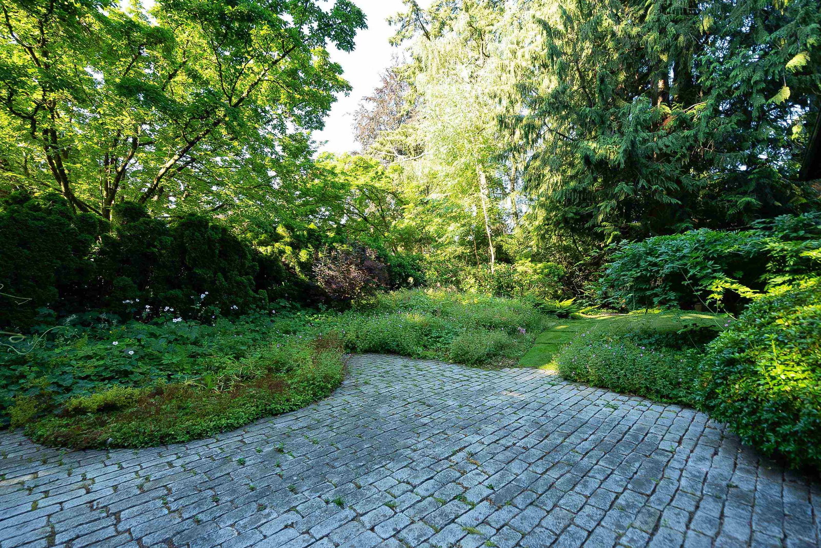 Listing Image 17