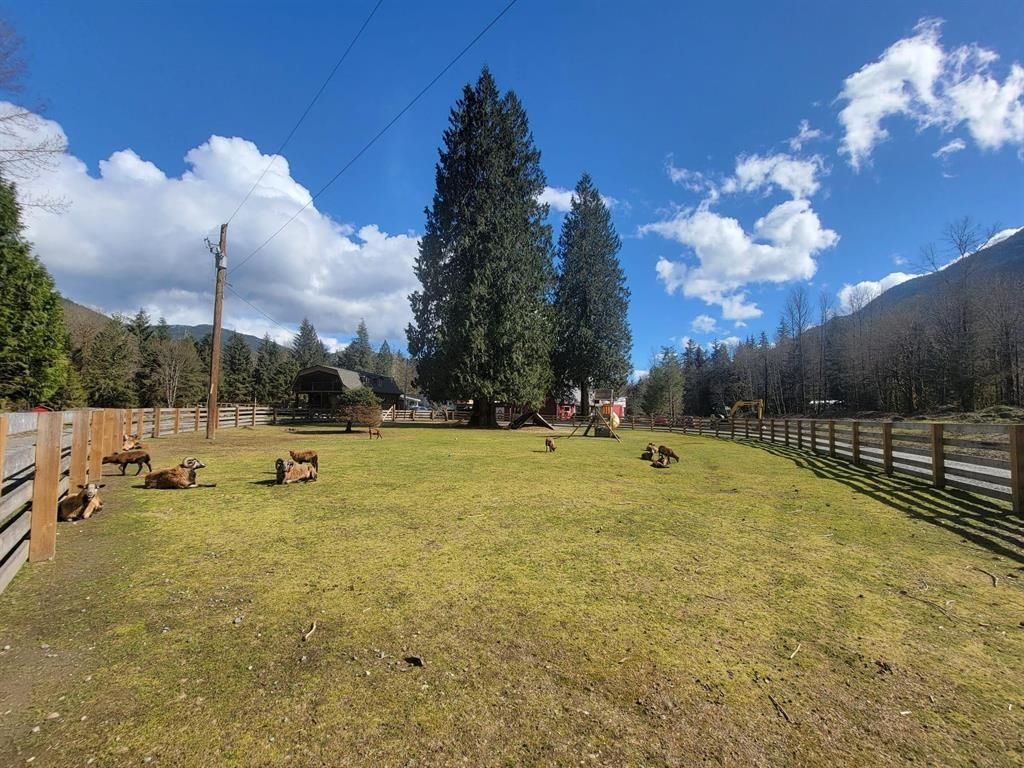 Listing Image 22