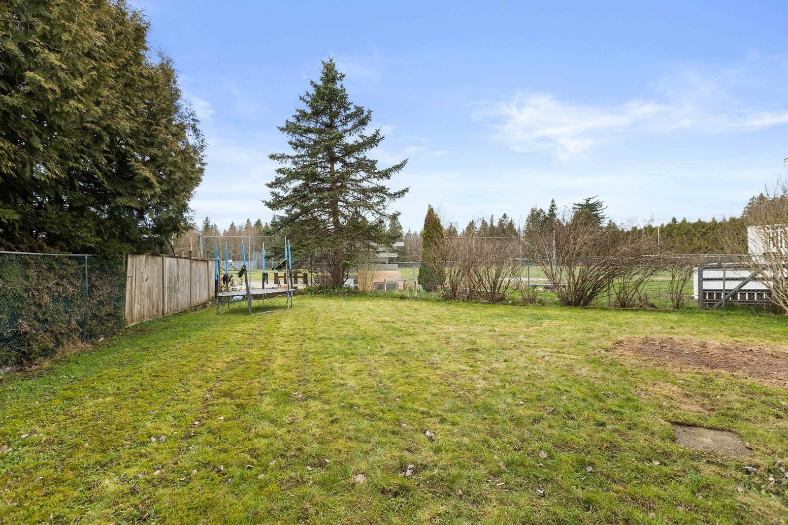 Listing Image 25