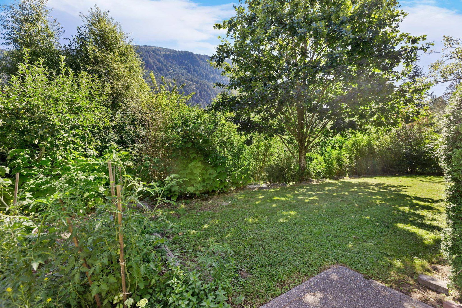 Listing Image 35