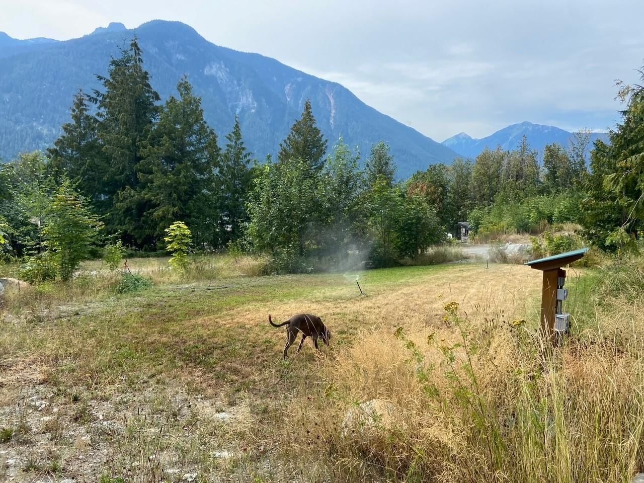 Listing Image 10