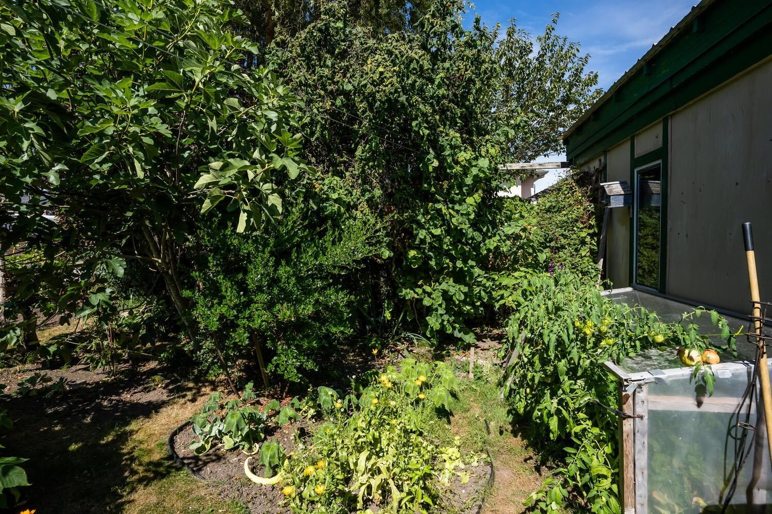 Listing Image 27