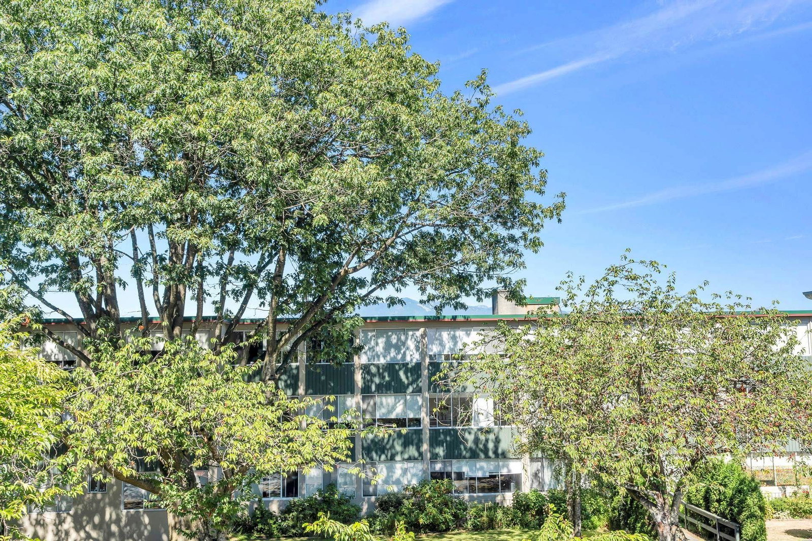 Listing Image 23