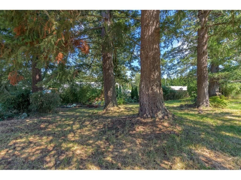 Listing Image 39