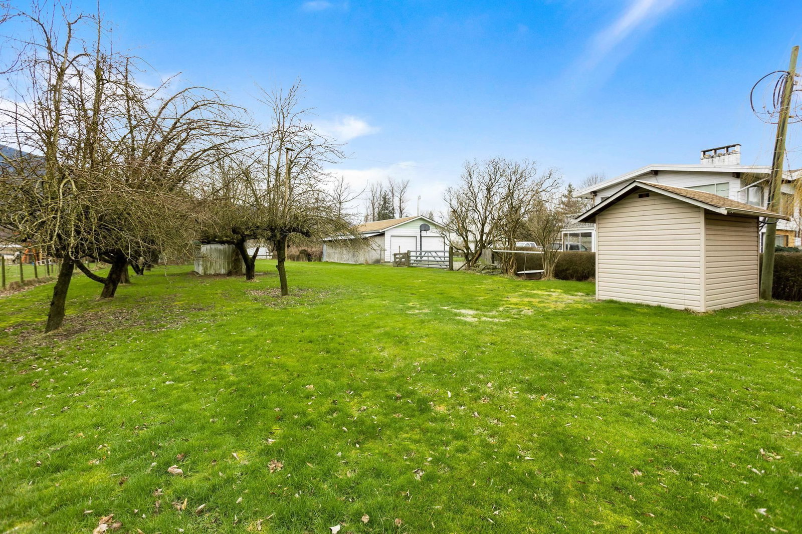 Listing Image 10