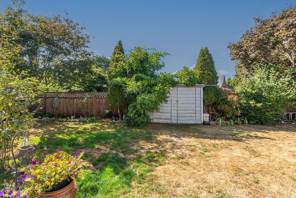 Listing Image 31