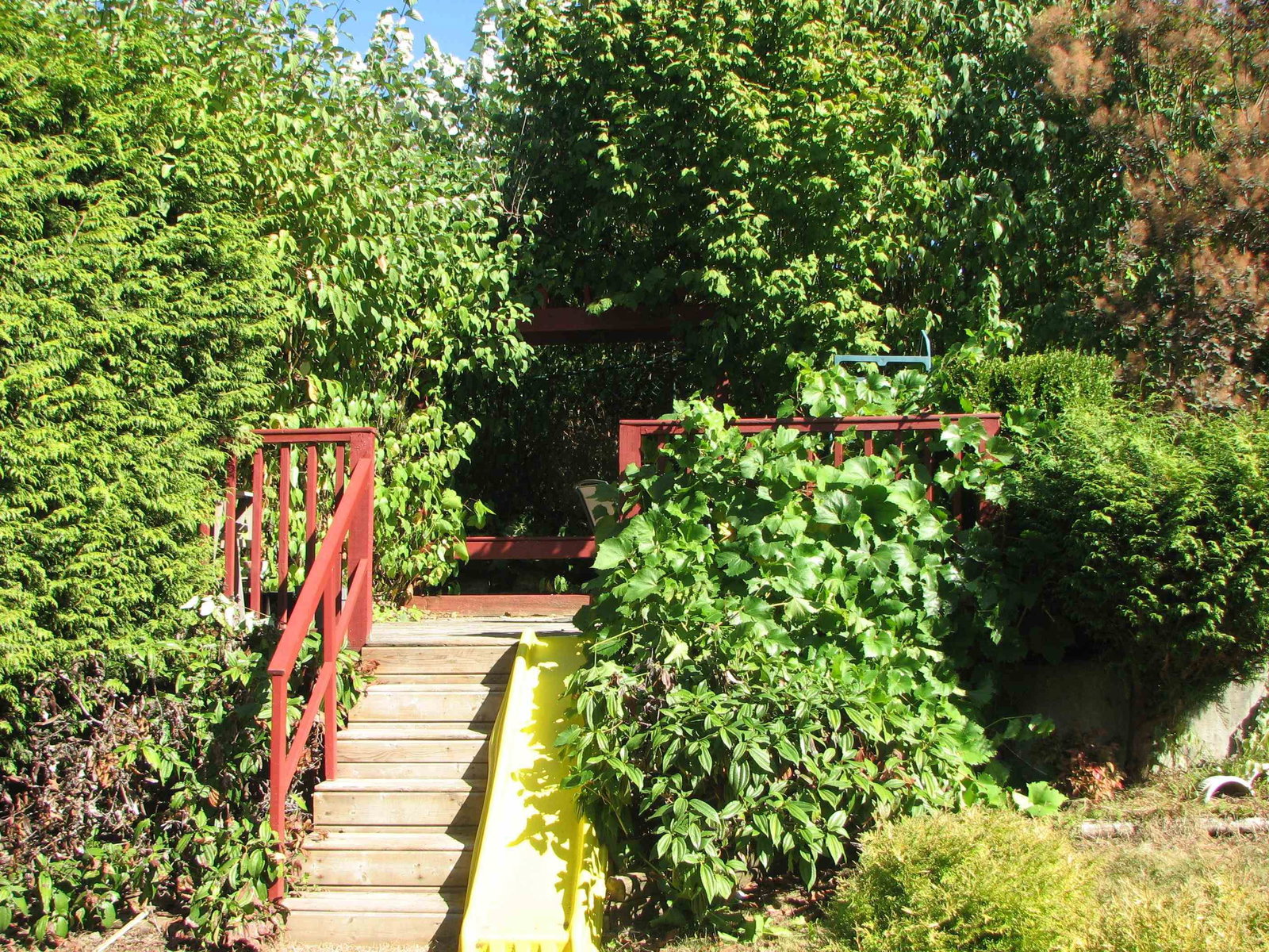 Listing Image 28