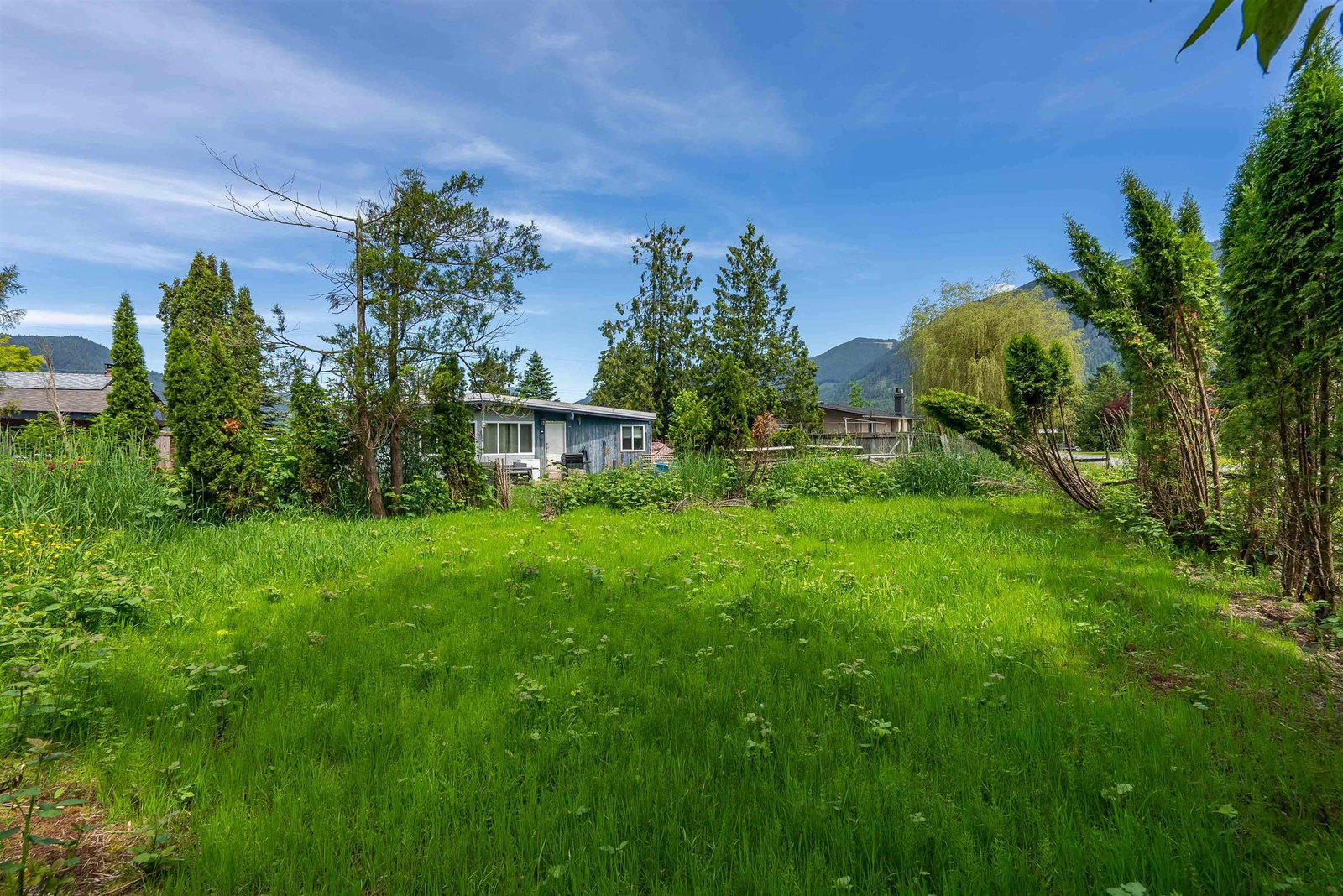 Listing Image 19