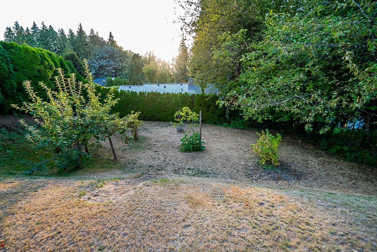 Listing Image 37