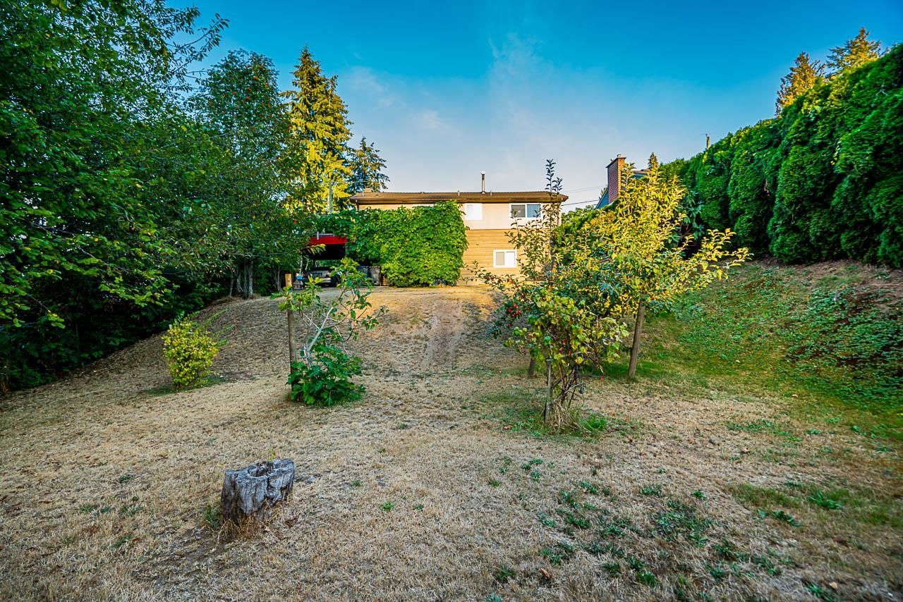 Listing Image 39