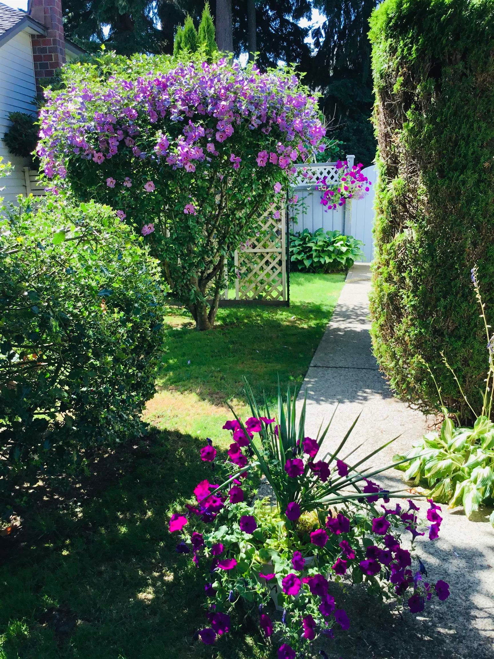 Listing Image 34