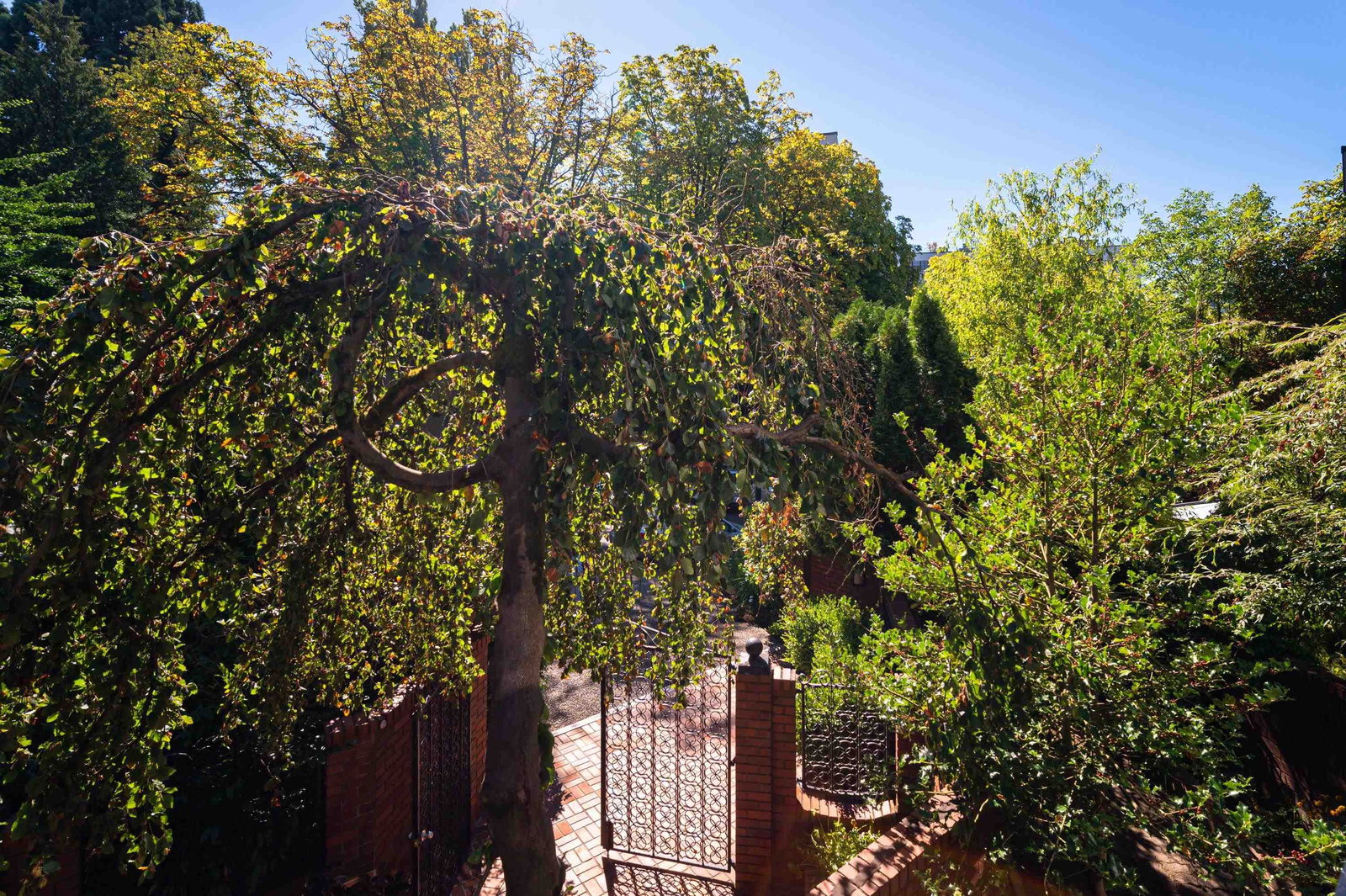 Listing Image 16