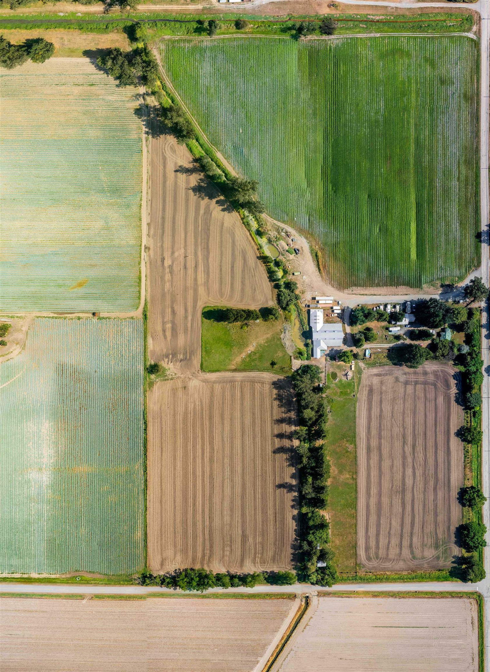 Listing Image 39