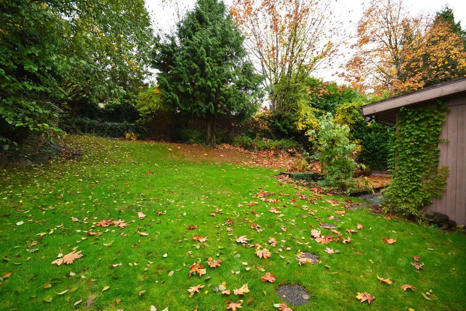 Listing Image 29
