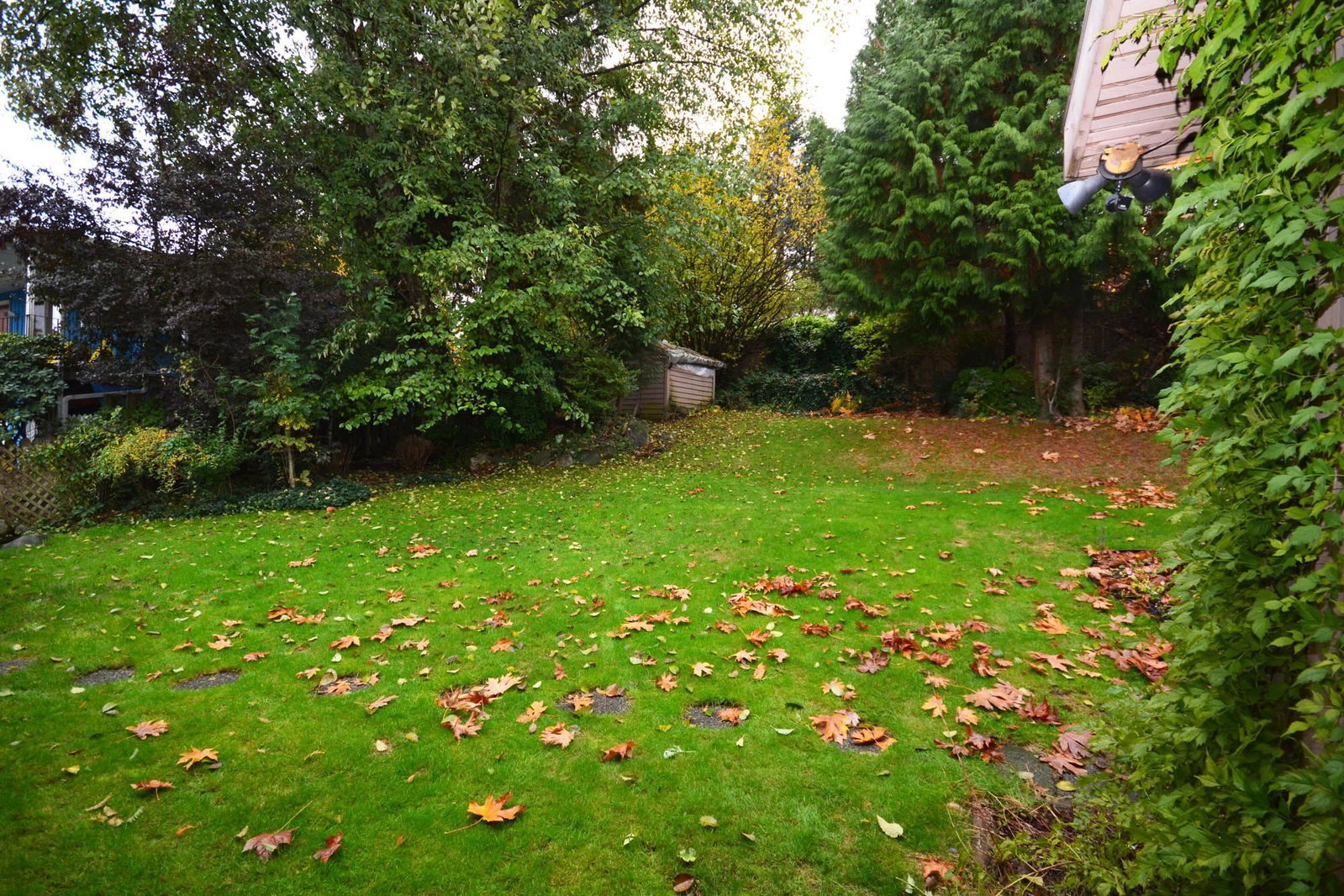 Listing Image 30