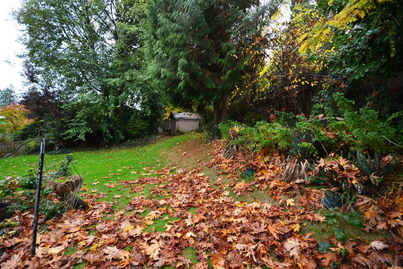 Listing Image 31