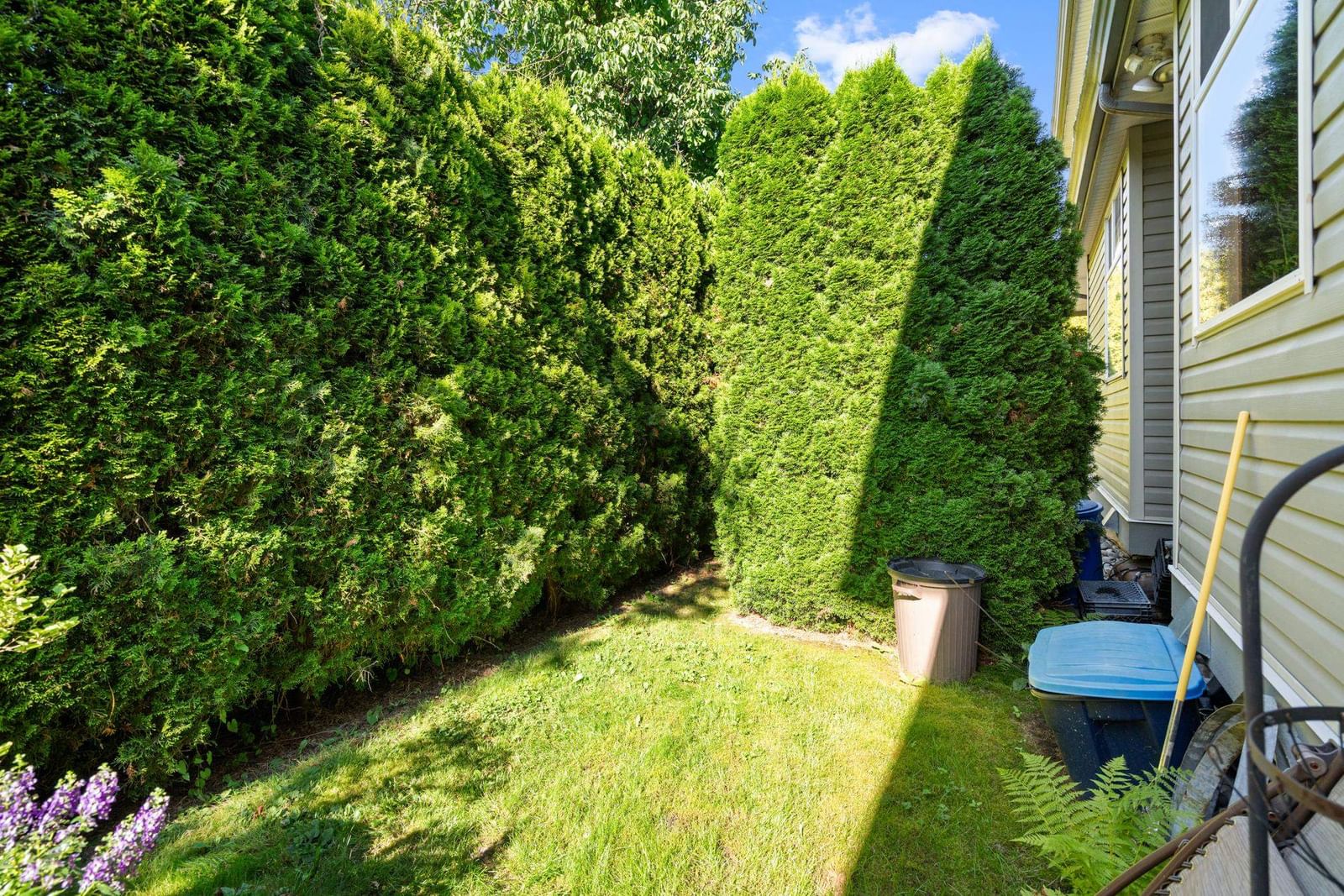 Listing Image 31