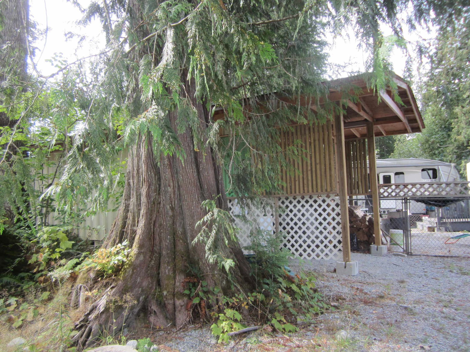 Listing Image 33