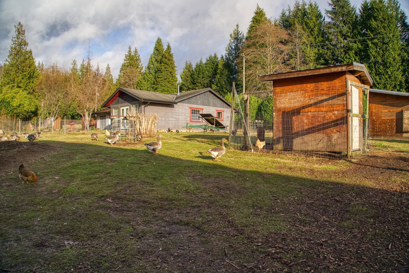 Listing Image 12