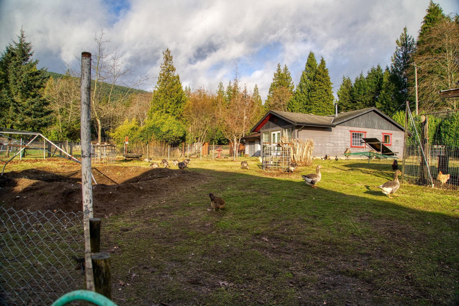 Listing Image 13
