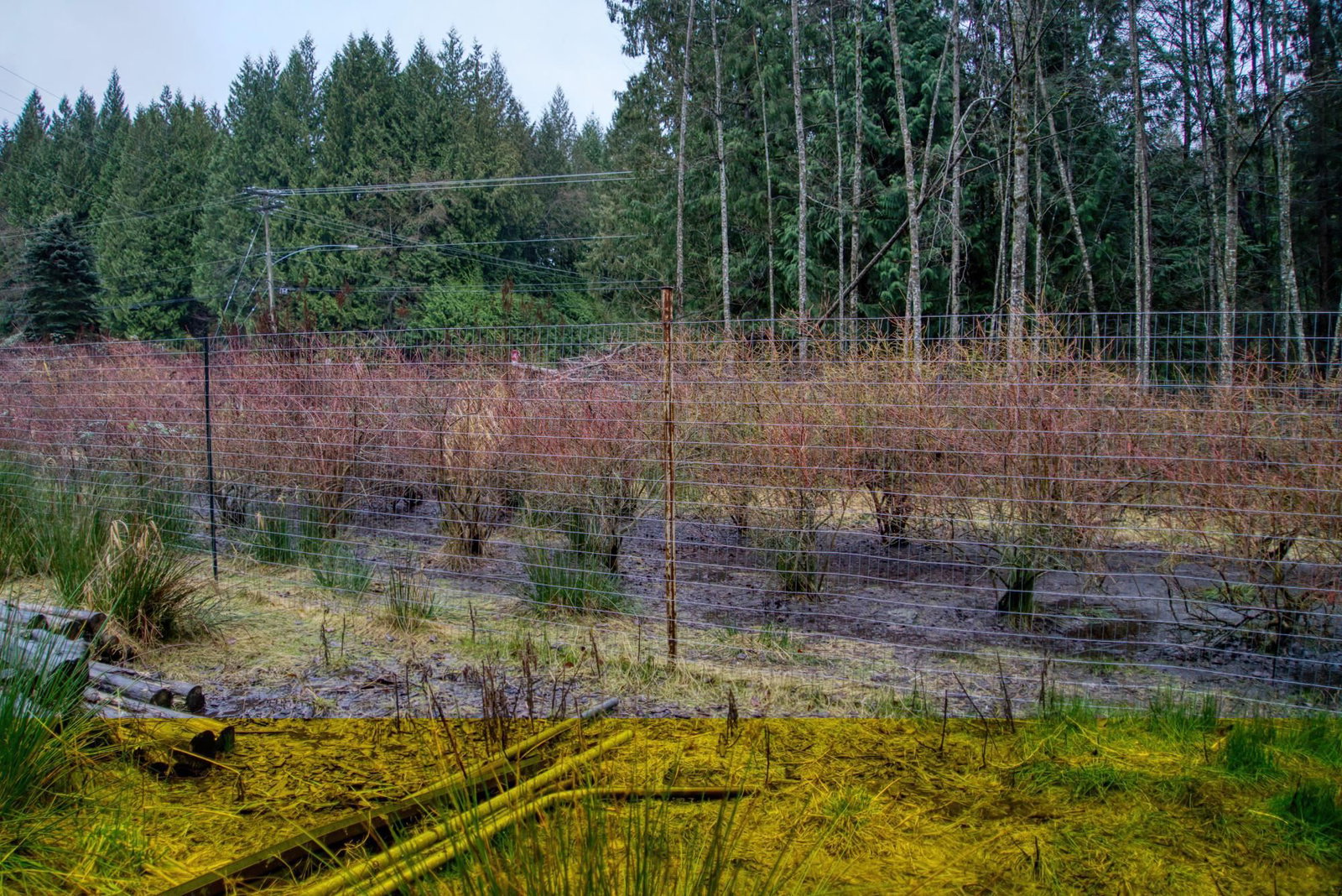 Listing Image 37