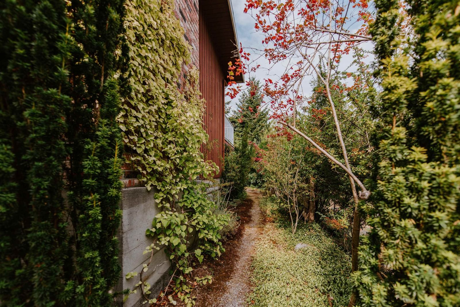 Listing Image 17