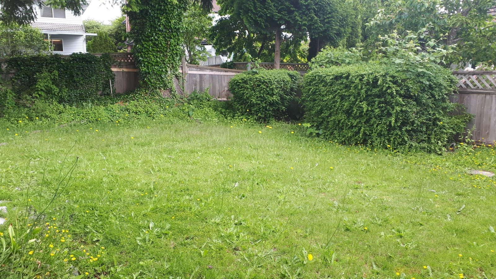 Listing Image 17